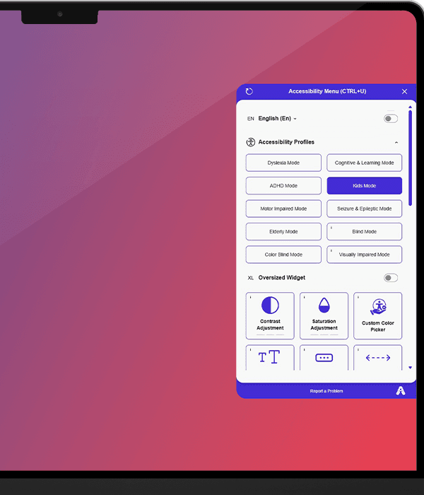 Live Accessibility Widget